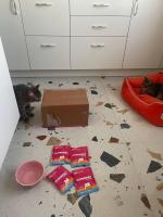 Корм для кошек Superpet фото