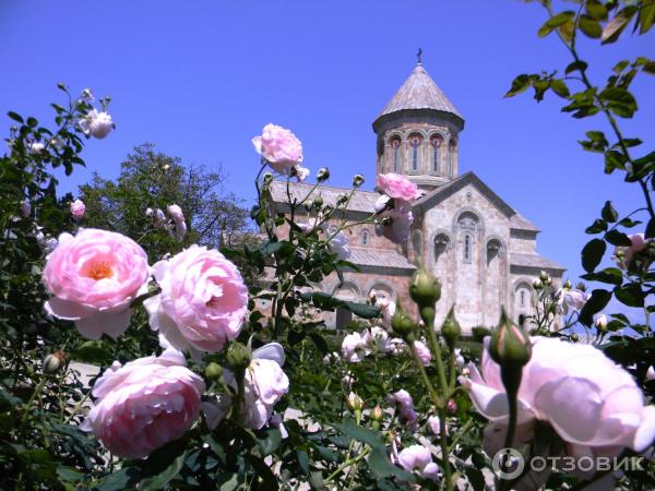 Тур 16GM В Грузию на море: Тбилиси  отдых в Батуми с компанией Туртранс-вояж фото