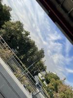 Колесо обозрения "Солнце Москвы" на территории ВДНХ (Россия, Москва) фото