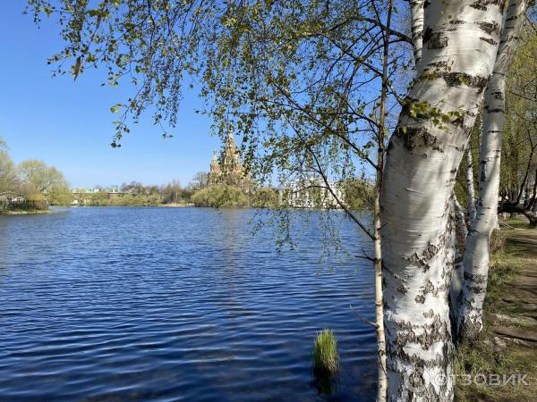Собор Петра и Павла в Петергофе (Россия, Санкт-Петербург) фото