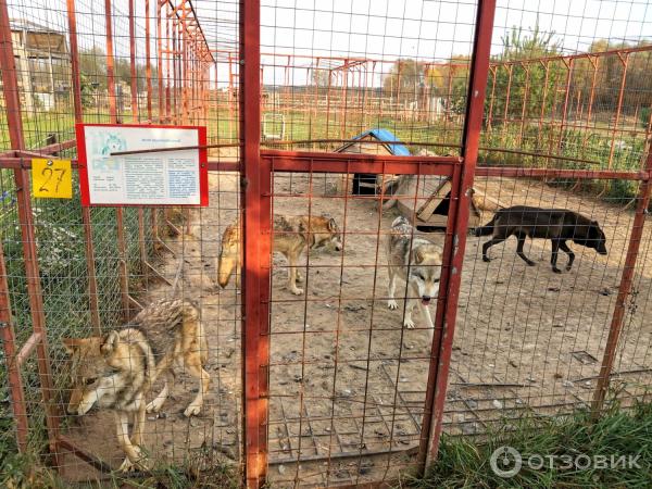 Зоопарк Епифаново Подворье (Россия, Тульская обл., Кимовский район, д. Комиссаровка) фото