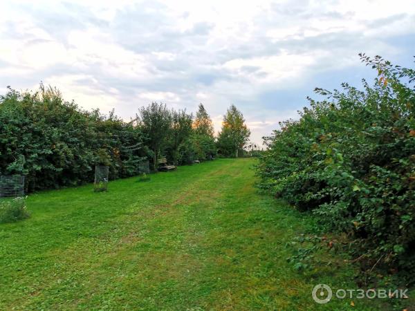 Зоопарк Епифаново Подворье (Россия, Тульская обл., Кимовский район, д. Комиссаровка) фото