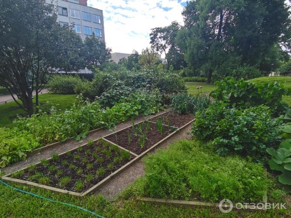 Усадебный сад Г. Р. Державина Польский сад (Россия, Санкт-Петербург) фото