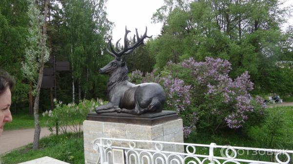 Музей-заповедник Павловск (Россия, Санкт-Петербург) фото