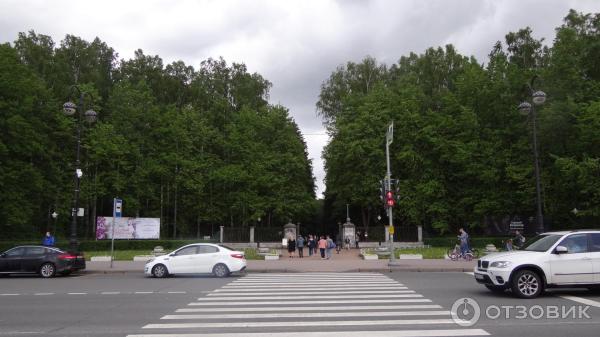 Музей-заповедник Павловск (Россия, Санкт-Петербург) фото