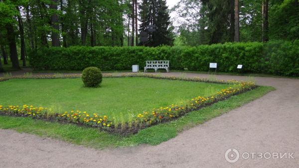 Музей-заповедник Павловск (Россия, Санкт-Петербург) фото