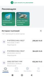 МИР Pay фото
