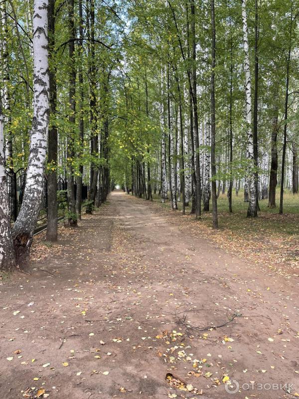 Город Чайковский (Россия, Пермский край) фото