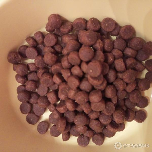 Сухой полнорационный корм для привередливый кошек и котят AJO