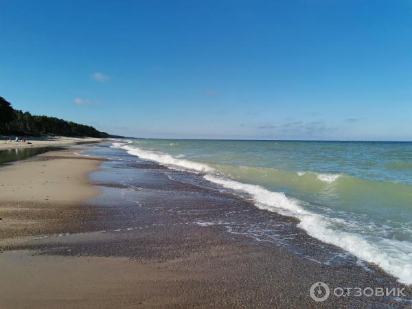 Поселок Лесной (Россия, Куршская коса) фото