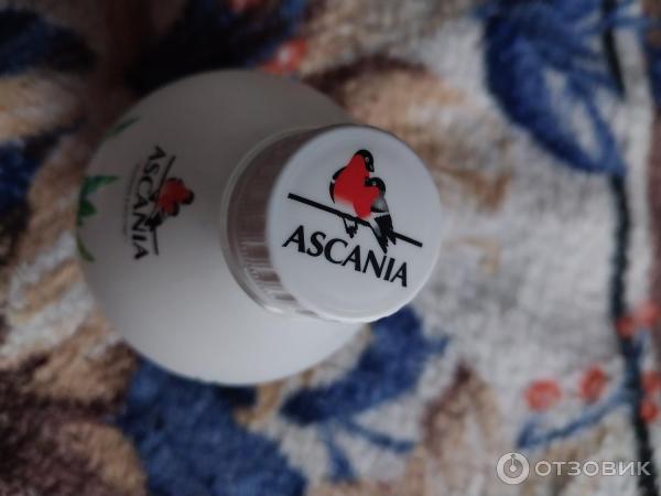 Безалкогольный сильногазированный напиток AscAnia фото