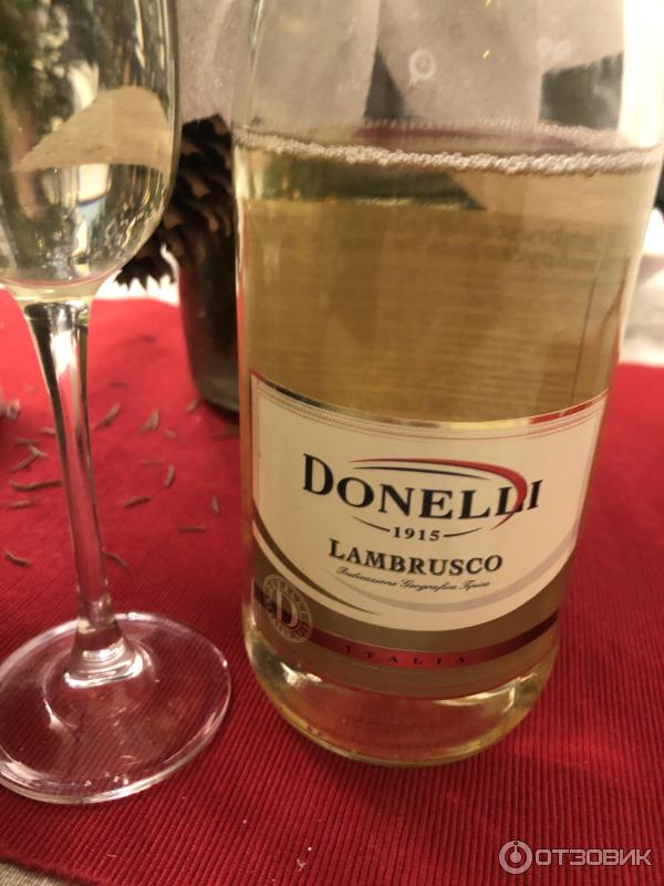 Игристое вино Donelli Lambrusco Dell'Emilia фото