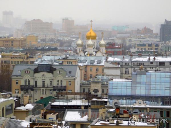 Смотровая площадка храма Христа Спасителя (Россия, Москва) фото