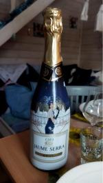 Вино игристое белое брют Cava Jaume Serra фото