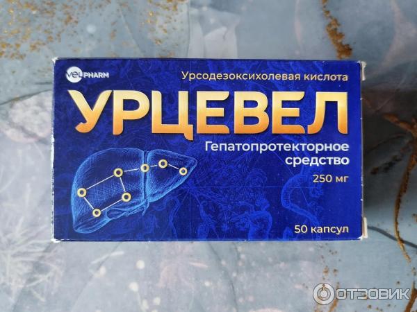 Таблетки урцевел отзывы. Урцевел капс 250мг n50. Урцевел капсулы отзывы. Таблетки урцевел для чего?. Урцевел капсулы инструкция.