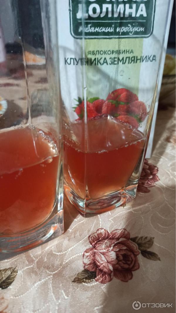 Отзыв о Сок Сочная долина "Черноплодная рябина, яблоко, клубника ...