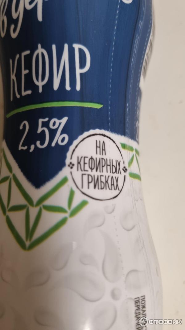 Отзыв о Кефир "Домик в деревне" 2,5% на кефирных грибках | Мне понравился.
