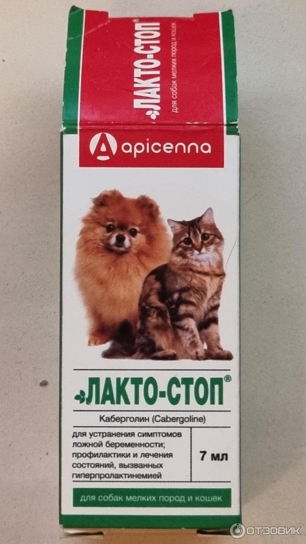 Лактостоп Для Кошек Цена