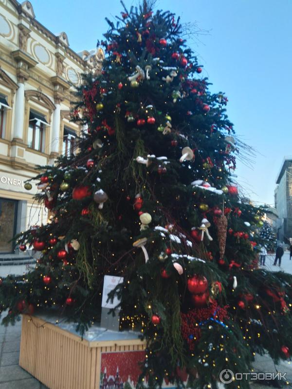 Фестиваль Путешествие в Рождество (Россия, Москва) фото