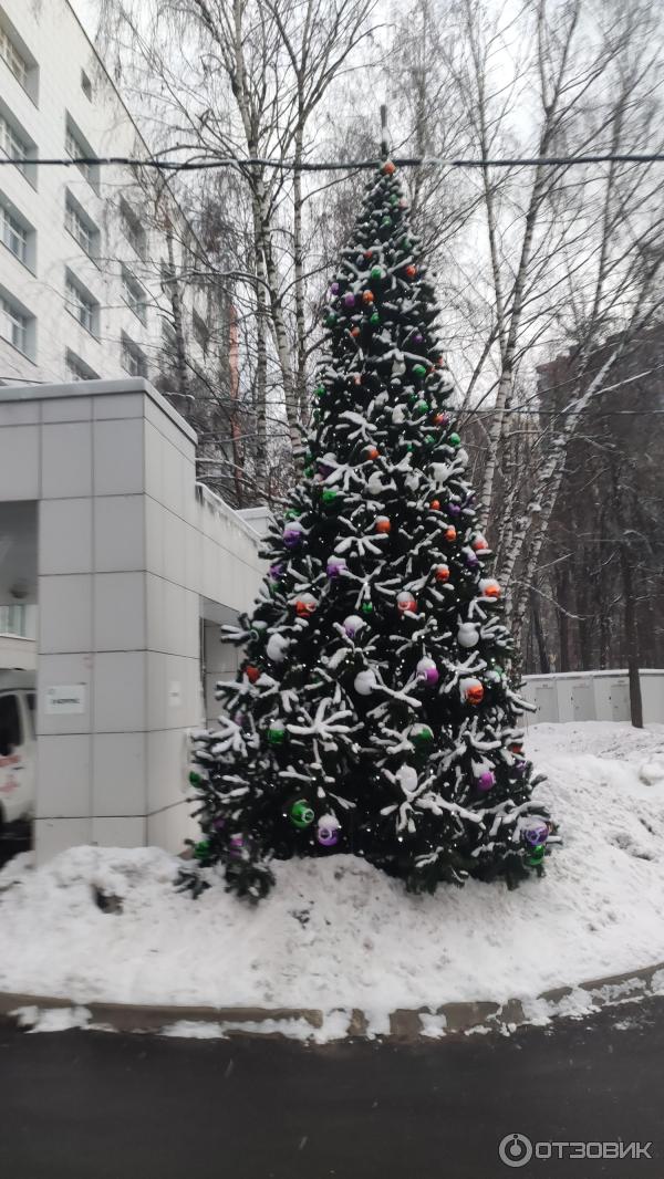 Отзыв о ГБУЗ Московский Клинический Научный Центр имени А.С. Логинова ...