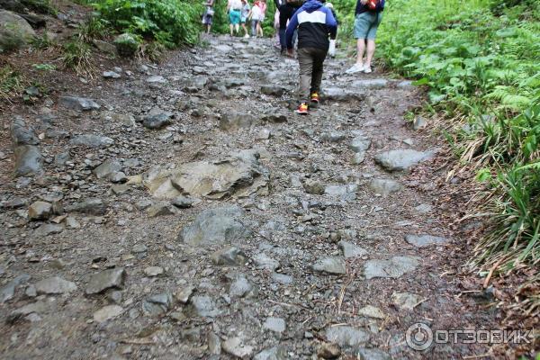 Водопад Поликаря (Россия, Красная Поляна) фото