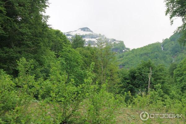 Водопад Поликаря (Россия, Красная Поляна) фото