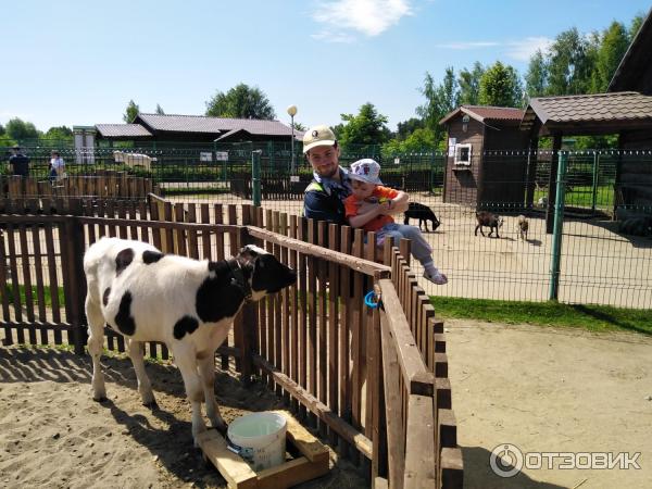 Ярославль Зоопарк Официальный Сайт Цена