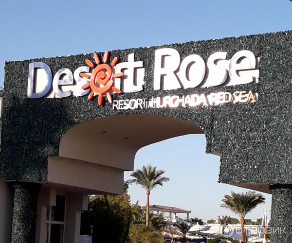 Отель Desert Rose 5* (Египет, Хургада) фото