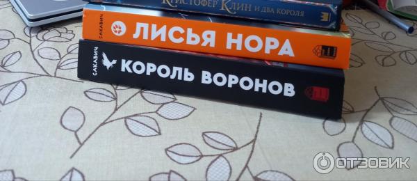 Серия книг Все ради игры - Нора Сакавич фото