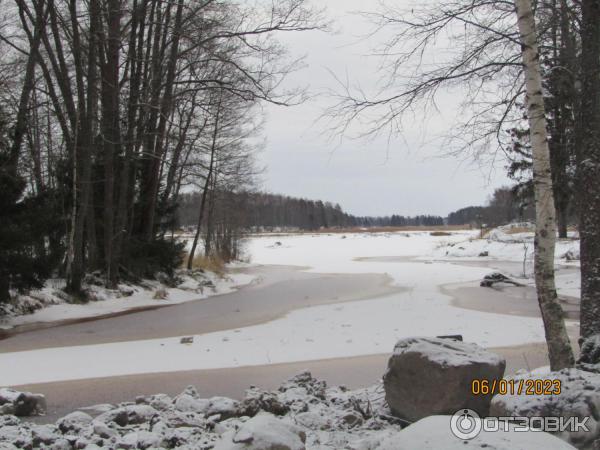 Усадьба Киискиля (Россия, Ленинградская область) фото