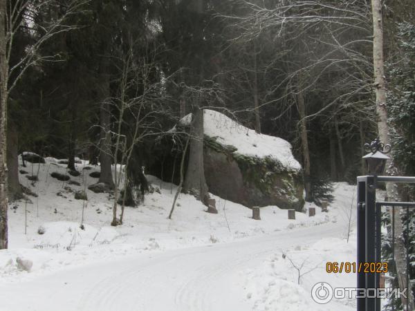 Усадьба Киискиля (Россия, Ленинградская область) фото