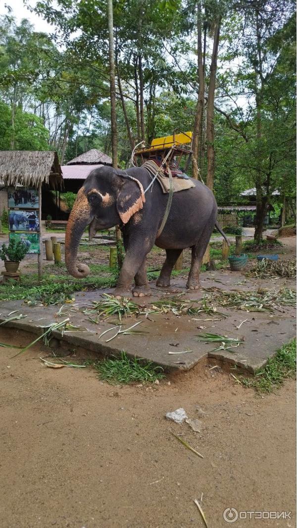 Отдых в Таиланде фото