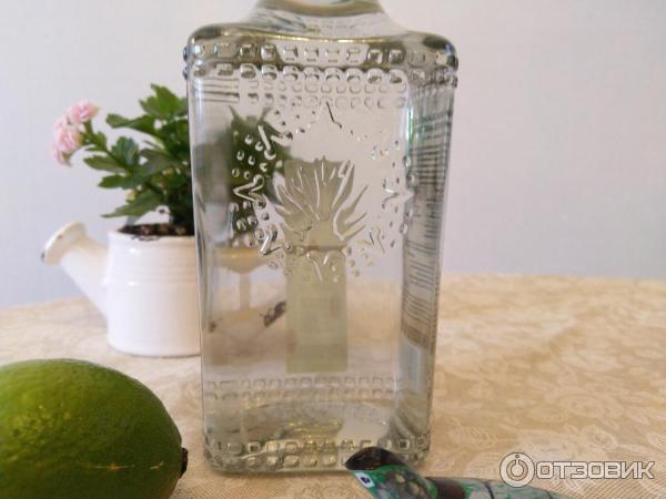 Rancho Los Agaves Silver