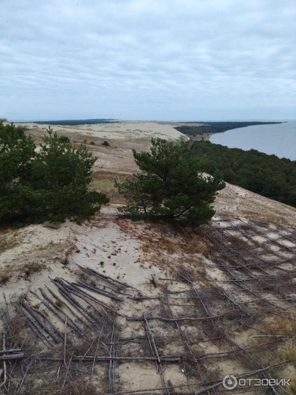 Экскурсия в пос. Морское (Россия, Куршская коса) фото