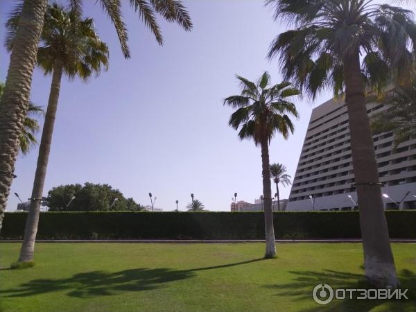 Отель Radisson Blu Resort Sharjah 5* (ОАЭ, Шарджа) фото