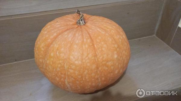 Отзыв о Семена тыквы Русский огород "Тыква F1 Румяная пышка" | Семена ...