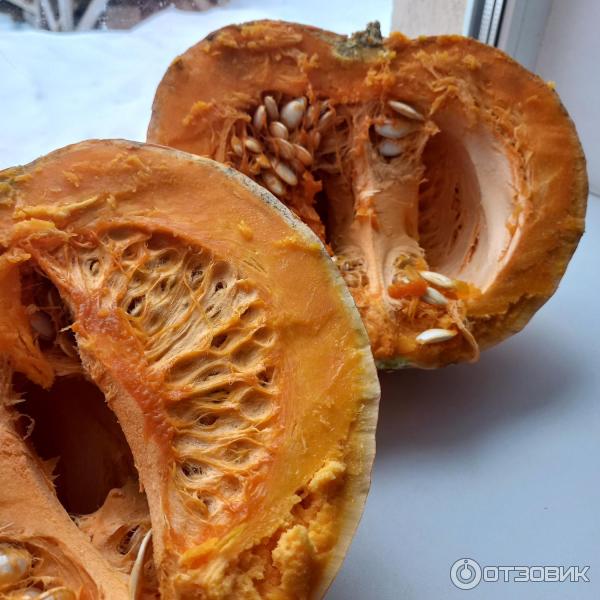 Отзыв о Семена тыквы Русский огород "Тыква F1 Румяная пышка" | Семена ...