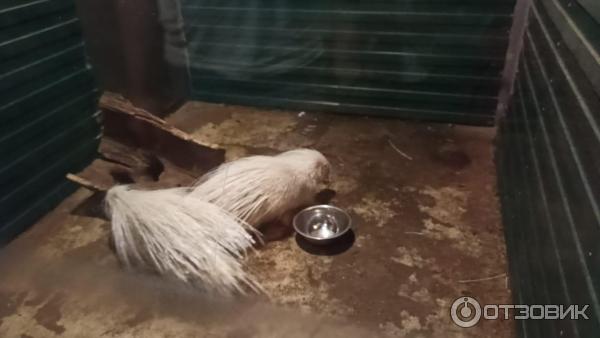 Экзотариум республика татарстан казань приволжский район фото