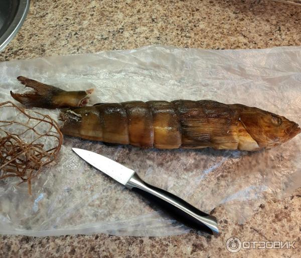 Отзыв о Терпуг горячего копчения потрошеный Арт-рыба | вкусная морская ...