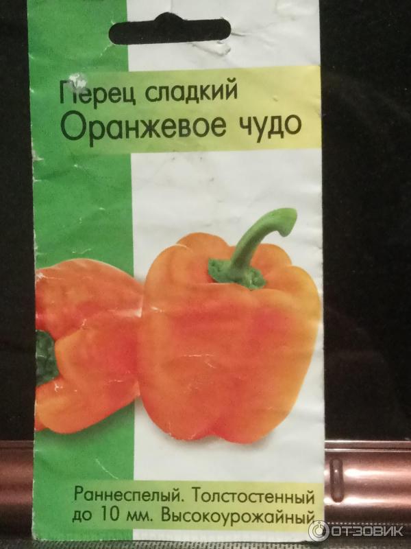 Перец Оранжевое Чудо Отзывы Фото