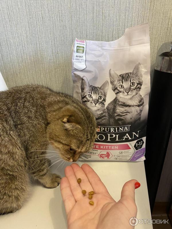 Сухой корм для котят Proplan Purina Delicate фото