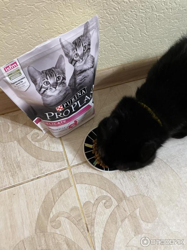 Сухой корм для котят Purina Pro Plan Delicate Junior фото