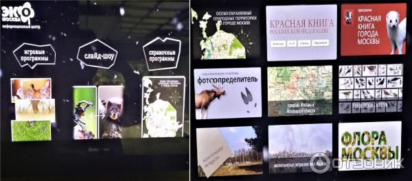 Выставочные залы Государственного Дарвиновского музея (Россия, Москва) фото