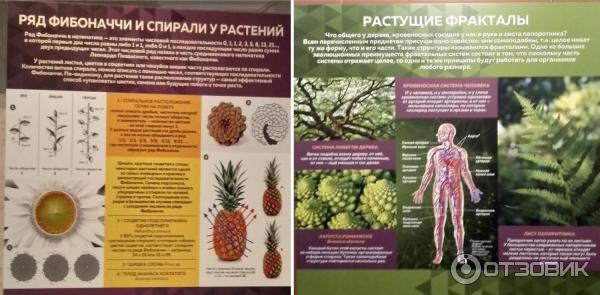 Выставочные залы Государственного Дарвиновского музея (Россия, Москва) фото