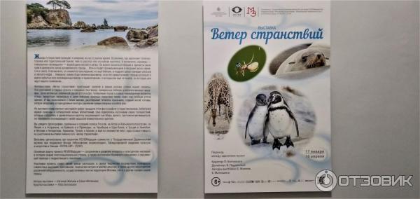 Выставочные залы Государственного Дарвиновского музея (Россия, Москва) фото