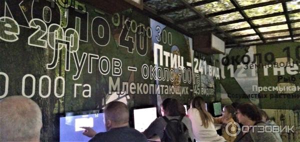 Выставочные залы Государственного Дарвиновского музея (Россия, Москва) фото