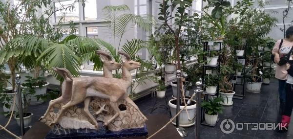 Выставочные залы Государственного Дарвиновского музея (Россия, Москва) фото