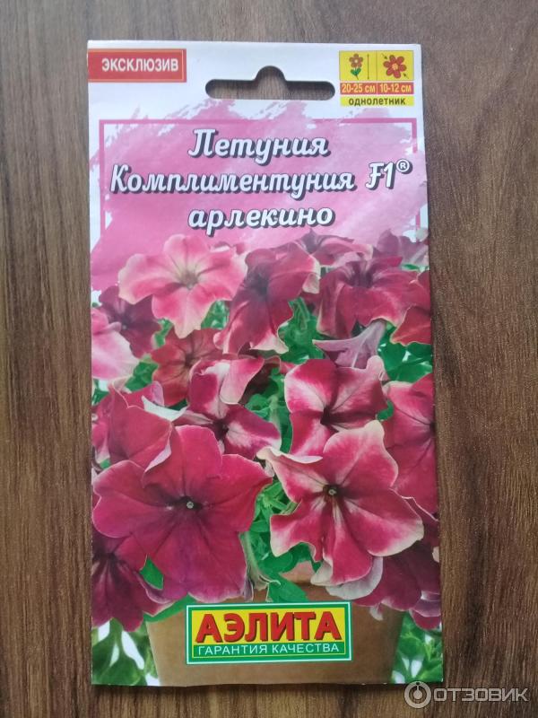 Петуния комплиментуния отзывы фото до и после