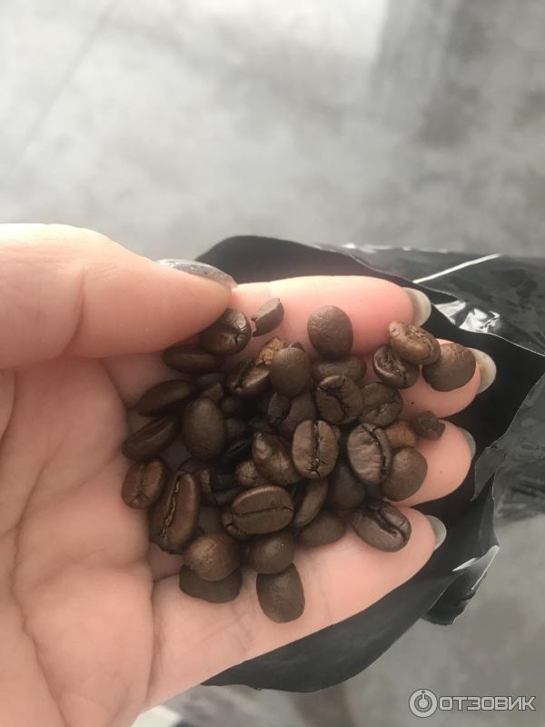 Кофе натуральный жареный в зернах Rioba Espresso 100 % Arabica in Grani фото