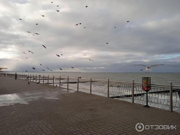 Экскурсия по г. Зеленоградск (Россия, Калининградская область) фото